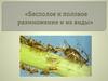 Бесполое и половое размножение и их виды