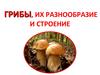 Грибы, их разнообразие и строение