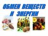 Обмен веществ и энергии