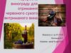 Переробка винограду для отримання червоного сухого витриманого вина