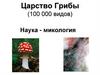 2a53ed40038c40128a02d5721dc4828f