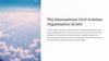 The International Civil Aviation Organization (ICAO)