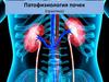Патофизиология почек (практика)