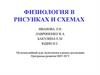 Физиология в рисунках и схемах