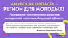 Программа комплексного развития молодежной политики Амурской области