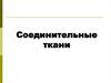 Соединительные ткани