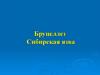 Бруцеллез. Сибирская язва