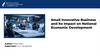 Small Innovative Business and Its Impact on National Economic Development