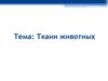 Ткани животных