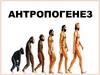 Антропогенез