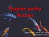 Редкие рыбы России