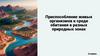 Приспособление живых организмов к среде обитания в разных природных зонах  (6 класс)