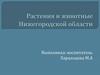 Растения и животные Нижегородской области