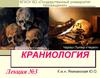 Краниология. Лекция №3