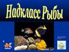 Надкласс Рыбы