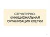 Структурно-функциональная организация клетки