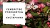 Семейство розоцветные кустарники