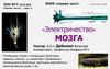 "Электричество" мозга