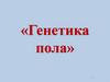 Генетика пола. Механизм определения пола