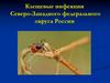 Клещевые инфекции Северо-Западного федерального округа России