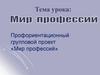 Профориентационный групповой проект «Мир профессий»