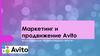 Маркетинг и продвижение Avito