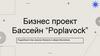 Бизнес - проект. Бассейн “Poplavock”