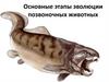 Основные этапы эволюции позвоночных животных