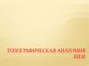 Топографическая анатомия шеи