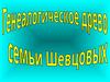 Генеалогическое дерево семьи Шевцовых