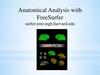 Anatomical Analysis with FreeSurfer
