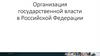 Организация государственной власти в Российской Федерации