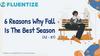 6 Reasons Why Fall Is The Best Season