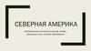 Северная Америка