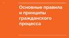 Основные правила и принципы гражданского процесса