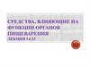 Средства, влияющие на функции органов пищеварения