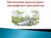 Организация архитектурно-ландшафтного пространства