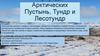 Природа Арктических Пустынь, Тундр и Лесотундр