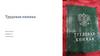 Цифровизация трудовых отношений: Электронная трудовая книжка
