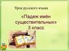 Падеж имён существительных