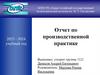 Отчет по производственной практике МКУ «Городское хозяйство и лесничество»