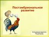 Постэмбриональное развитие