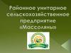 Районное унитарное сельскохозяйственное предприятие «Массоляны»