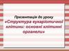 Структура еукаріотичної клітини: основні клітинні органели