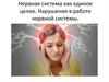 Нервная система как единое целое. Нарушения в работе нервной системы