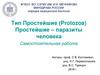 Тип Простейшие (Protozoa) Простейшие – паразиты человека