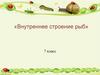 Внутреннее строение рыб. 7 класс