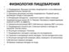 Физиология пищеварения