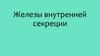 Эндокринная система. Железы внутренней секреции