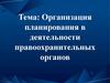 Организация планирования в деятельности правоохранительных органов